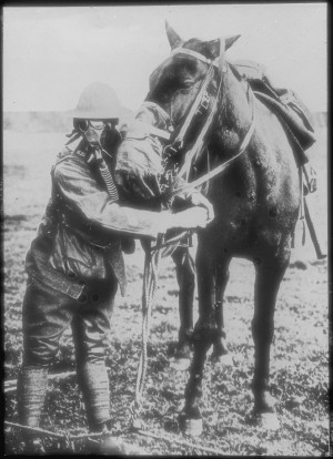 Soldat demonstriert Gasmaske für Mensch und Pferd