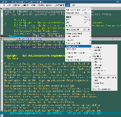 Emacs mit AUCTeX und
      RefTeX